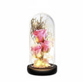 Tangerine™ Enchanted Rose Glass Dome